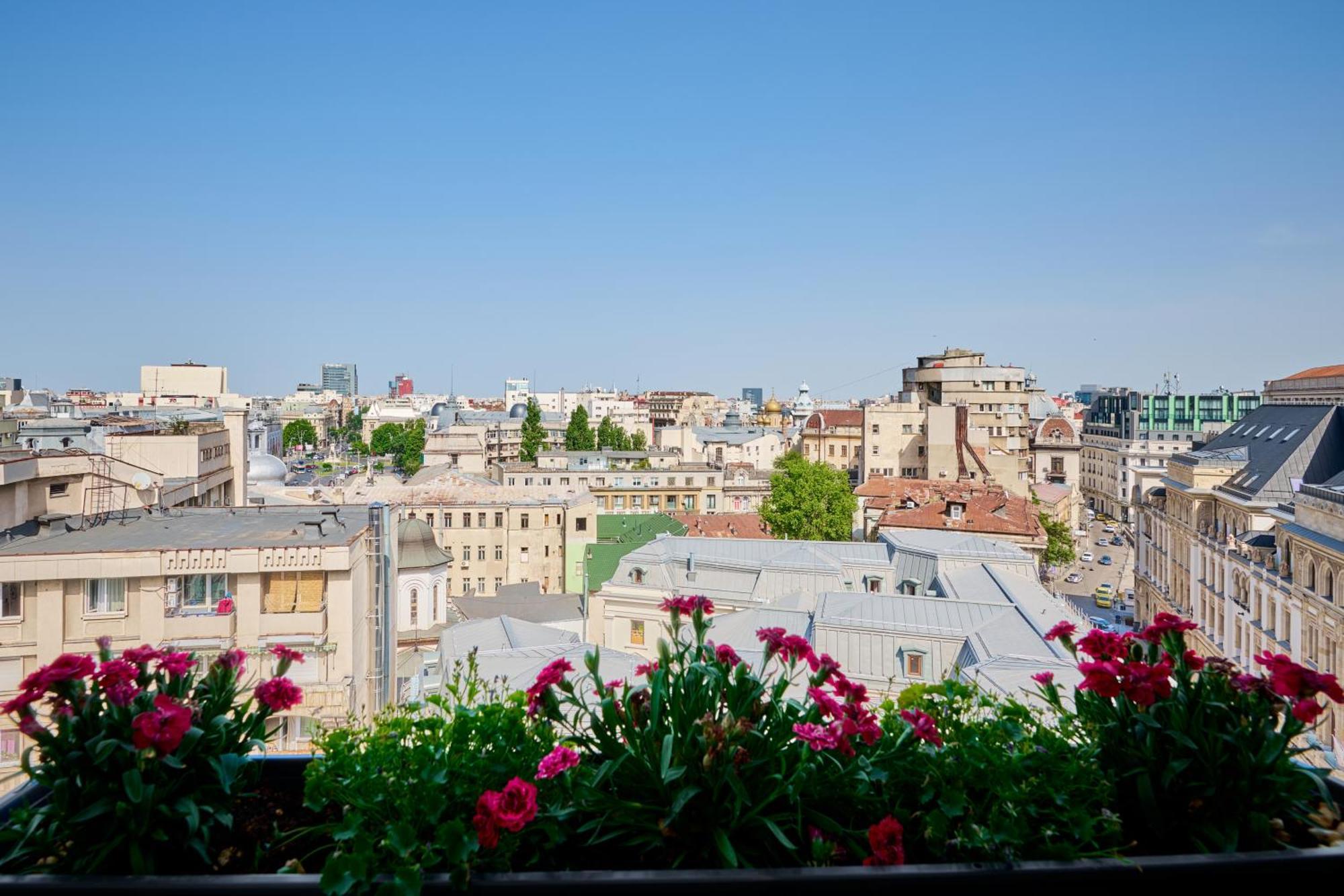 Appartement View - Luxury A - Old - Victoriei *